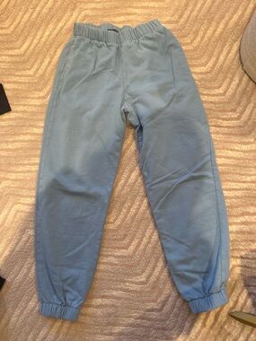 Brandy Melville Light Blue Fleece-Lined Jogger Pants